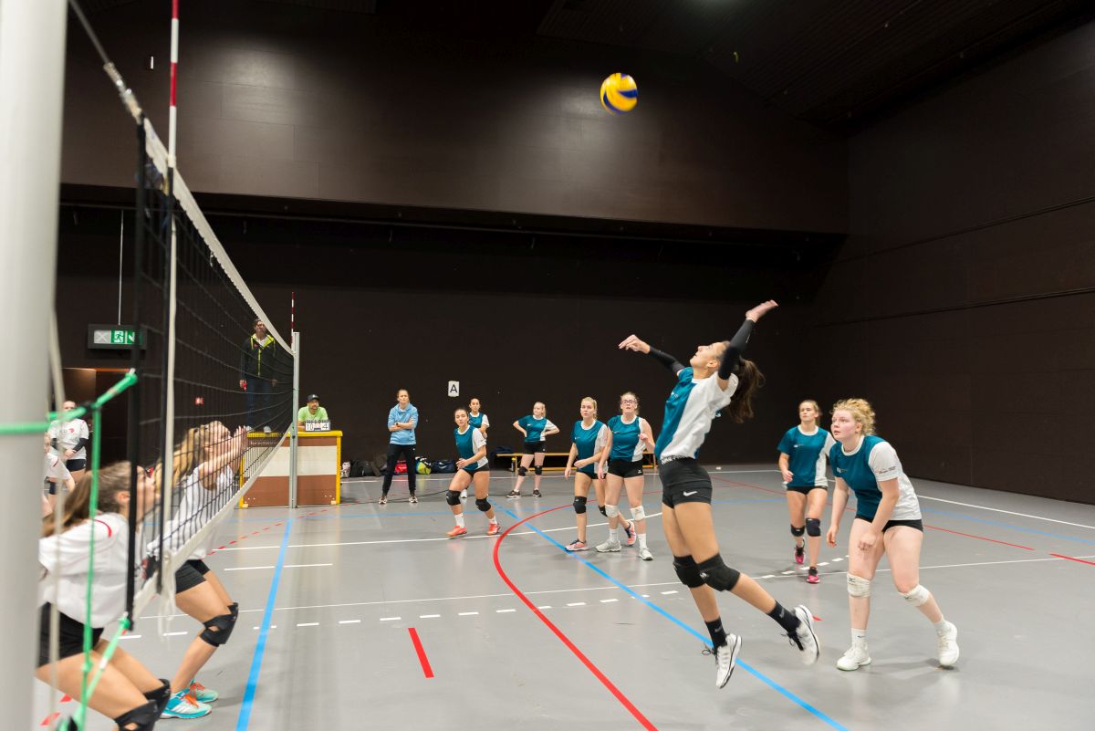 Volleyball CH-Meisterschaften 2019klein.jpg